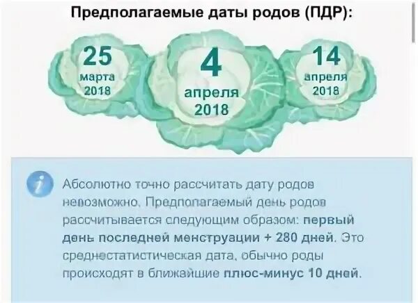 Предлагаю дату