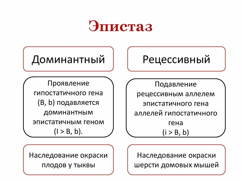 Рецессивный ген характеристика. Неаллельные гены доминантный эпистаз. эпистаз типы. эпистаз генетические схемы. гены эпистаз.
