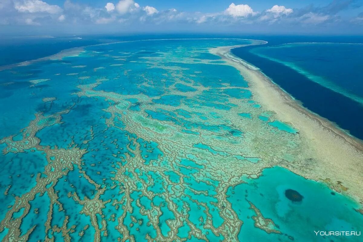 У берегов австралии расположен остров. Великий Барьерный риф Австралия. Большой Барьерный риф (ББР), Австралия. Большой Барьерный риф (the great Barrier Reef). Коралловый риф в Австралии.
