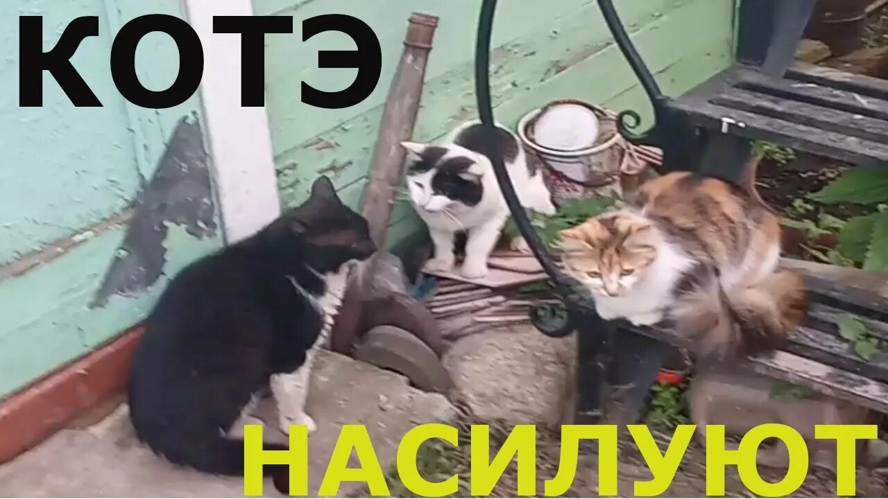 Давай подпустим