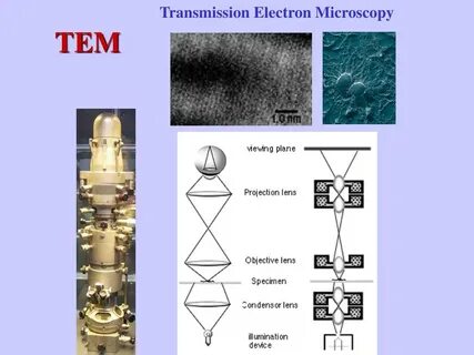 Transmission microscopy