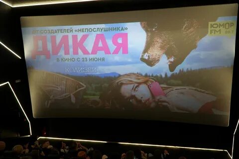 Дикий кинотеатр