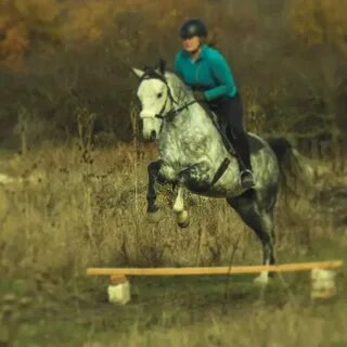 Конный клуб барская прихоть усадьба