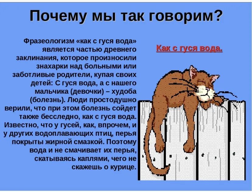 Зачем говорить не хочу говорить. Почему мы так говорим фразеологизмы. Почему мы так говорим. Фразеологизмы о животных картинки. Фразеологизмы про животных.