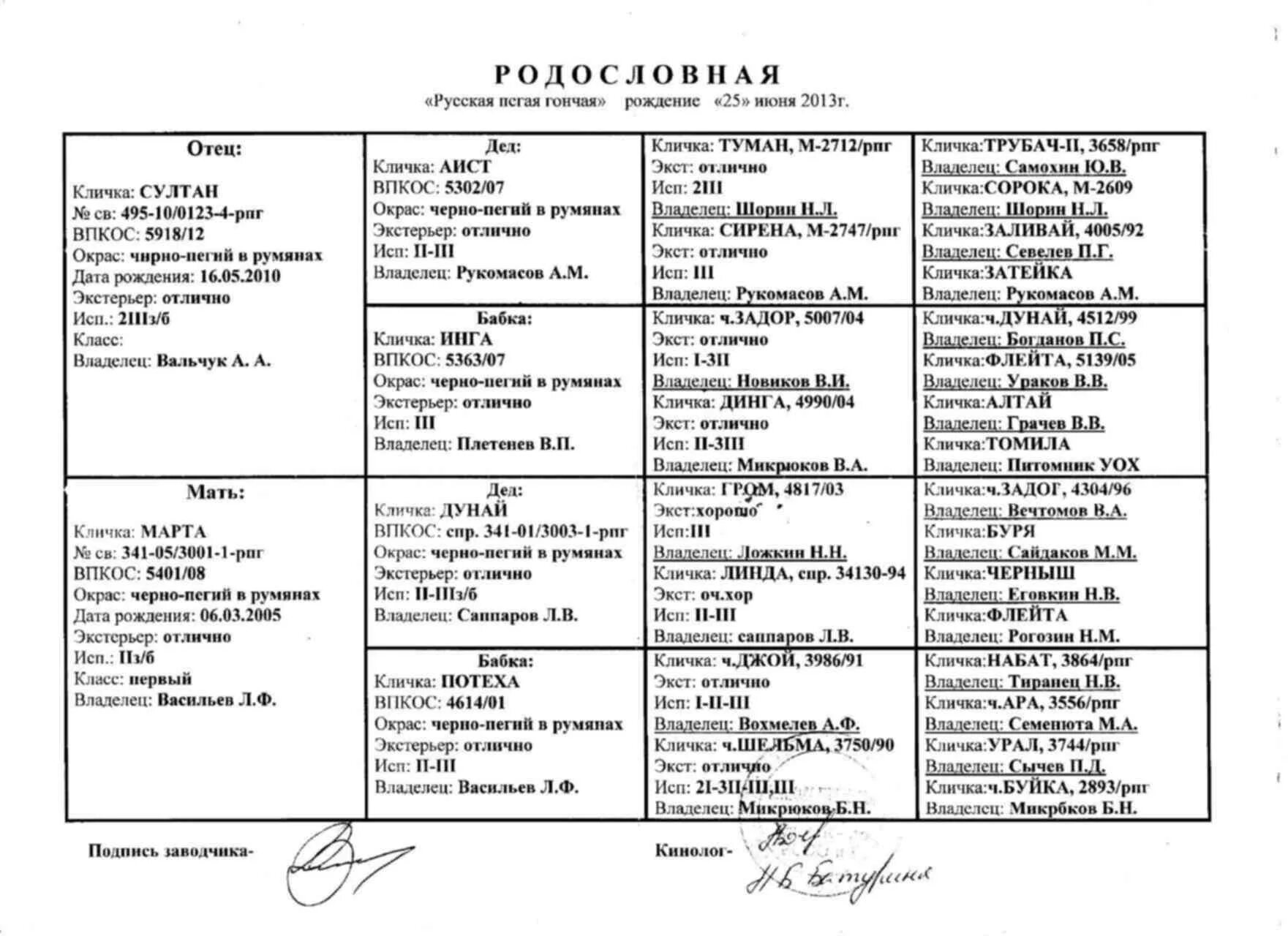 Родословная русской гончей. Клички для охотничьих собак. Клички для собак русская гончая. Клички охотничьих собак кобелей. Клички гончих