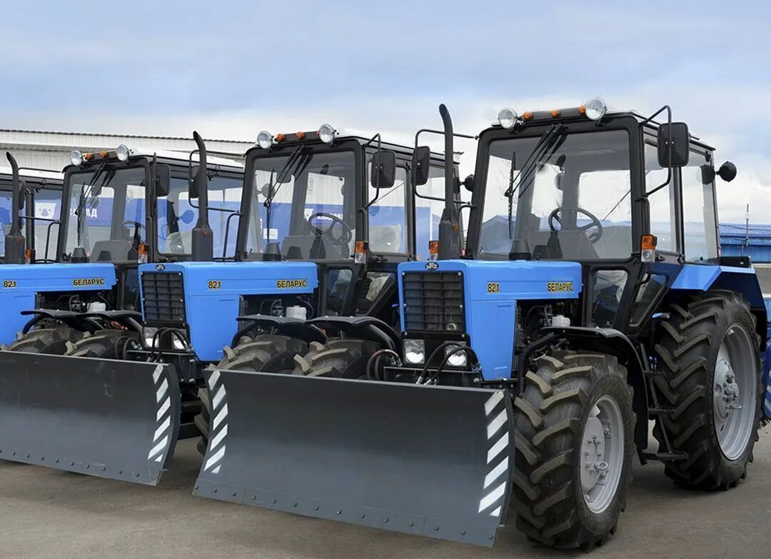 1" (мтз). Трактор мтз 82. Мтз беларус 82. Мул мтз 82 лесной в лесу. Мтз 82 работа вахта.