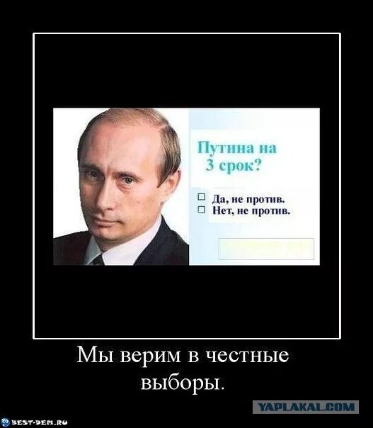 Предложения про выборы. Демотиваторы против Путина. Демотиваторы про Путина. Фразы про выборы.