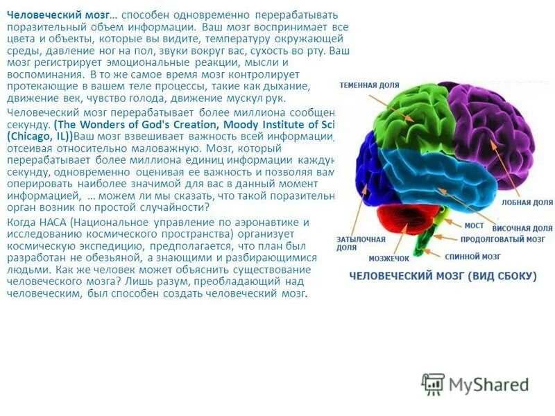 способности мозга презентация. человеческий мозг генерирует электрических импульсов. прочитать текст. информация в памяти человека. способности мозга память.