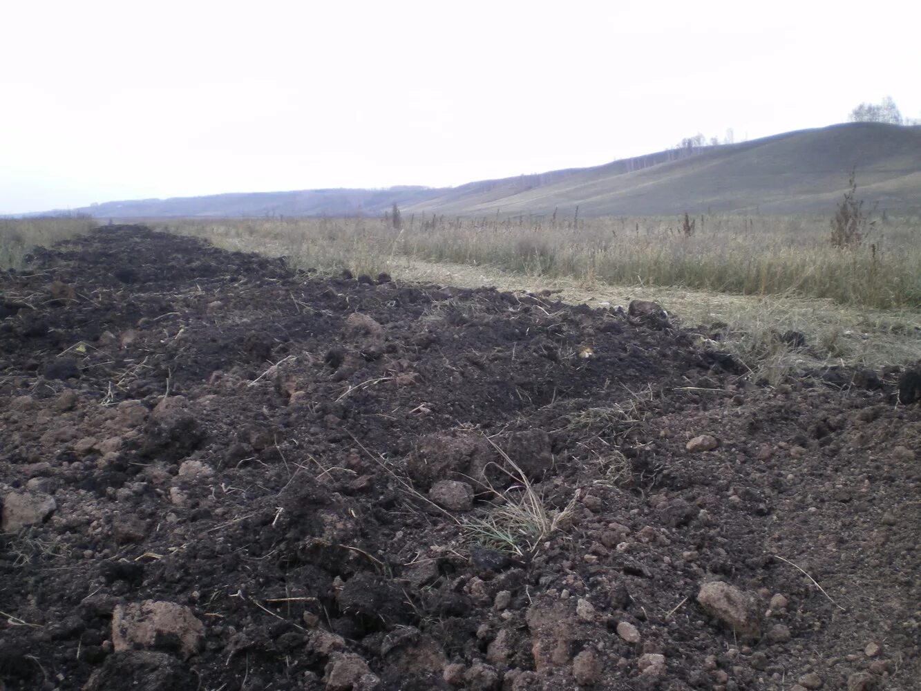 Загрязнение почвенного Покрова Красноярск. Загрязнение почвы Красноярск. Уничтожение плодородного слоя почвы. Загрязнение почвы тяжелыми металлами. Тяжелые металлы загрязняющие почвы