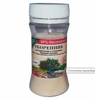 Коренник сп