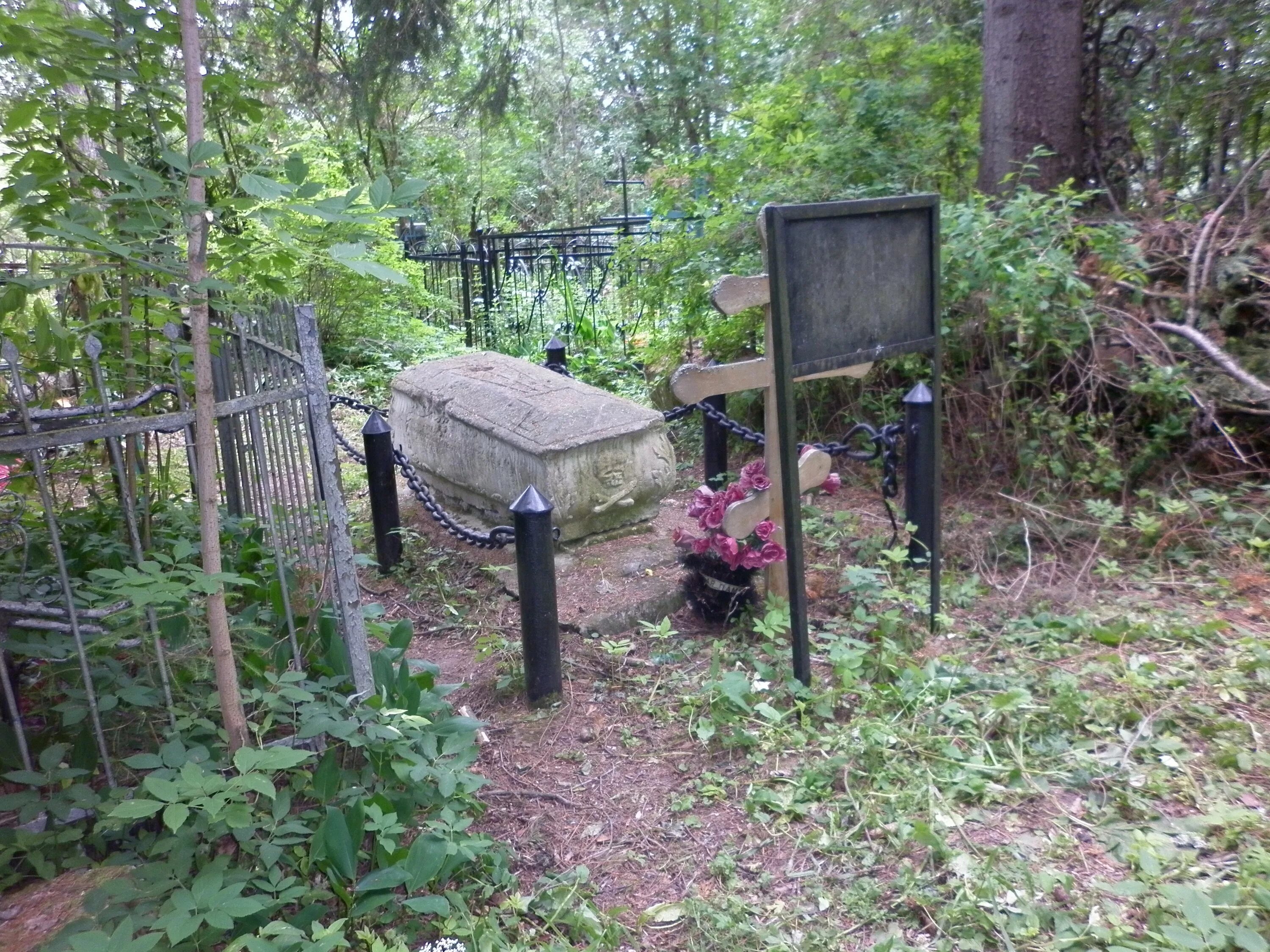 кладбище подолино. кладбище солнечногорск буровая. солнечногорск кладбище. поварово старое кладбище. новое кладбище солнечногорск.