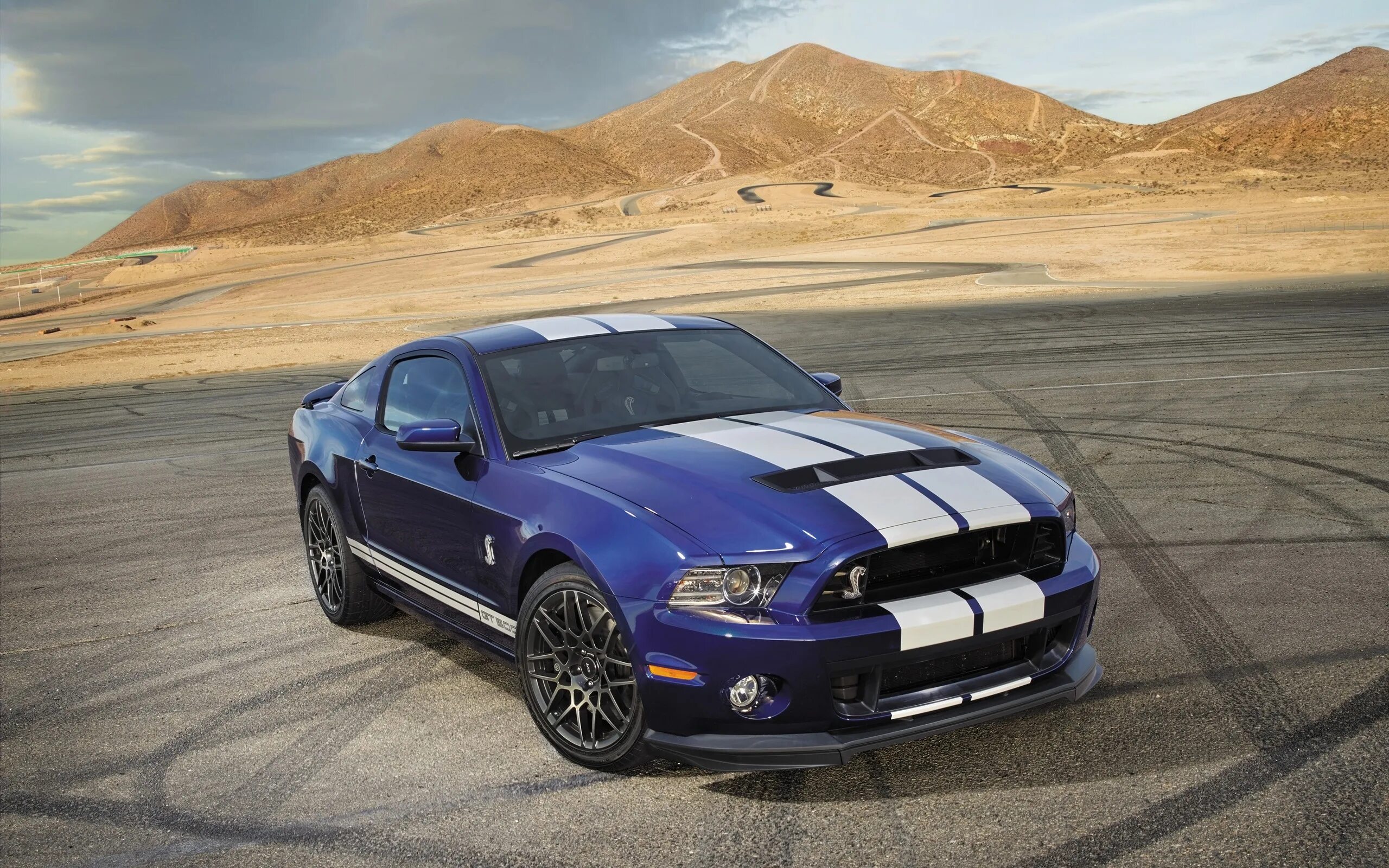 Форд Мустанг gt 500. Форд Шелби ГТ 500. Ford Shelby gt500. Ford Mustang gt.