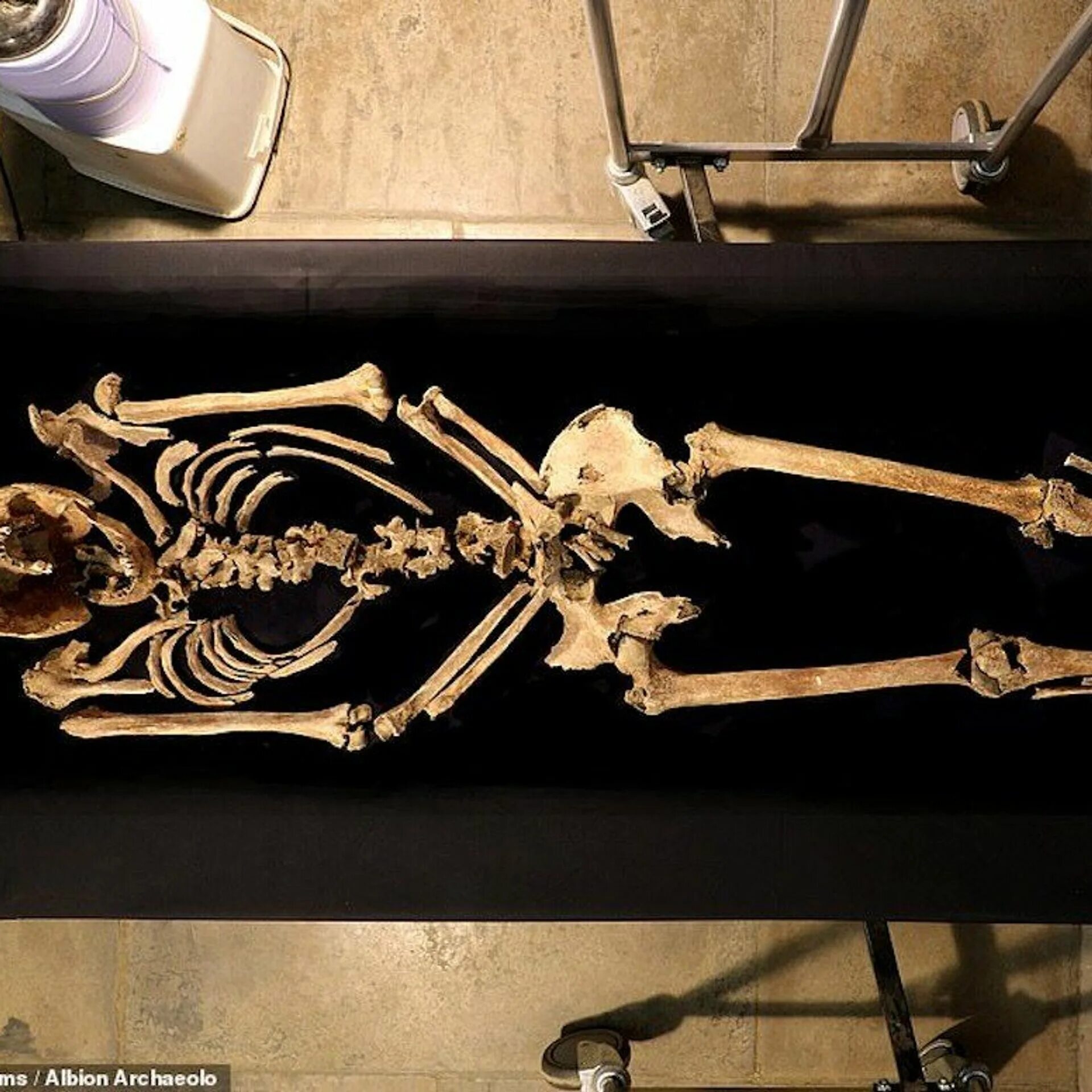 Спуки скейри скелетонс. Череп в сомбреро. Мексиканский скелет. На скелет носил песня. На скелет носил песня.