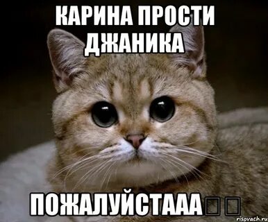Извиняйся сука