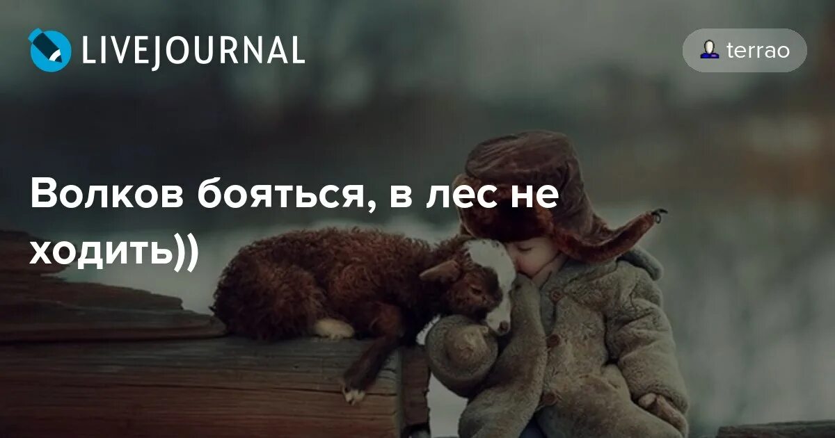 Волков бояться в лес не ходить. Пословица Волков бояться в лес не ходить. В лес ходить Волков бояться. Волков бояться в лес не ходить карикатура. Волка бояться в лес не ходить ответ