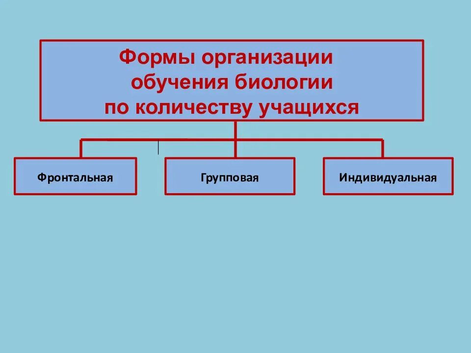 Формы организации обучения. Формы обучения биологии. Формы организации учебной работы по биологии. Основные формы обучения биологии.