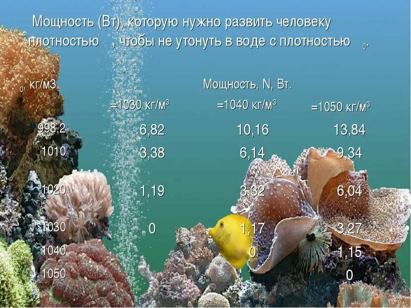 Человек в морской воде плотность 1030