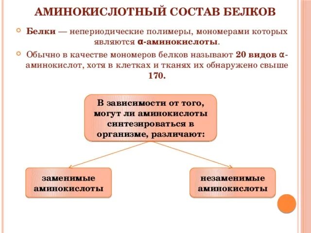 Мономеры белка состоят. Белки это полимеры мономерами которых являются. Белки непериодические полимеры. Мономеры белков в составе которых. Белок это полимер мономером которого является.