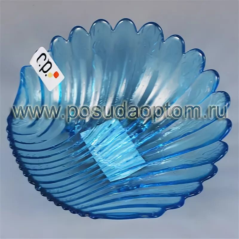 ракушка 11 сыктывкар