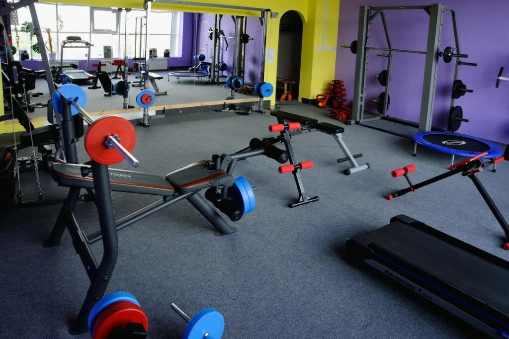 фитнес зал чебоксары. фитнес зал чебоксары. мустанг рябинка чебоксары тренажерный зал. тренажерный зал геркулес северск. фитнес зал чебоксары.