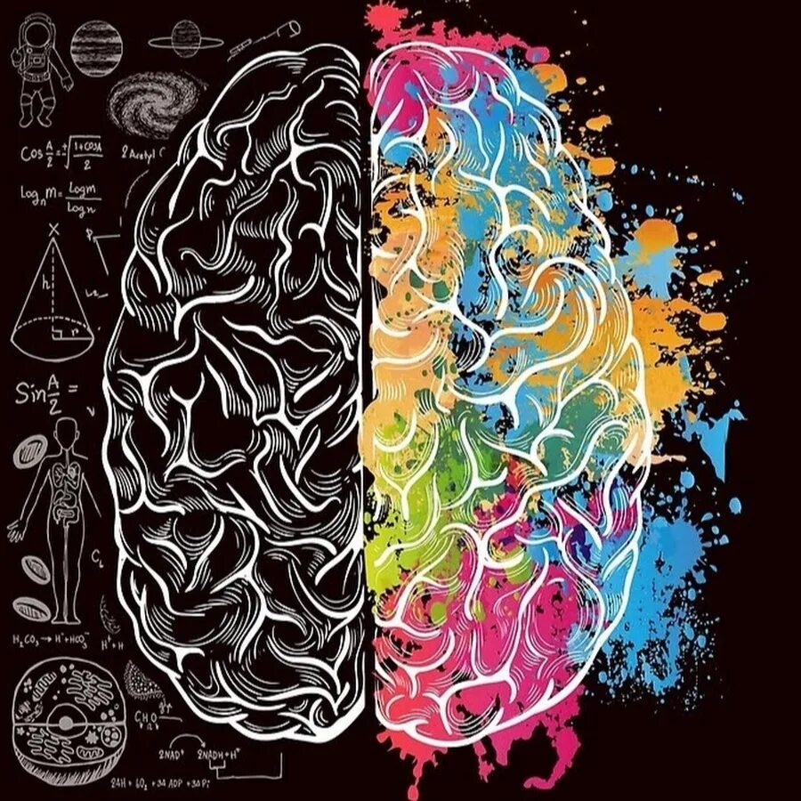 Colored brains. Мозг арт. Мозг абстракция. Мозг арты. Мозг абстракция арт.