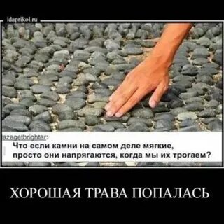 Хорошо трогать