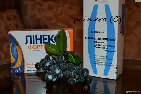 Форт антибиотик