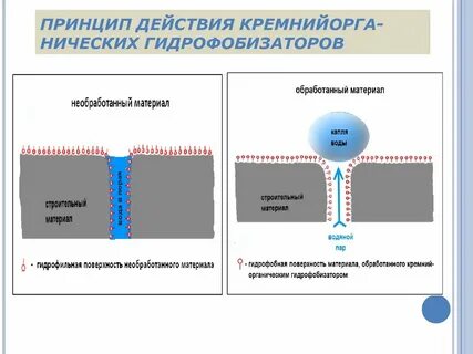 Гидрофильный