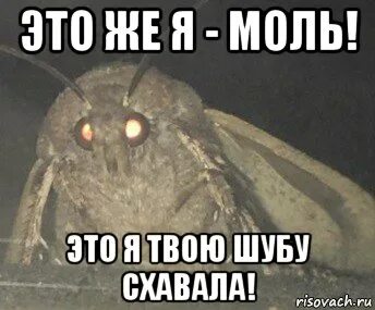Моль к это