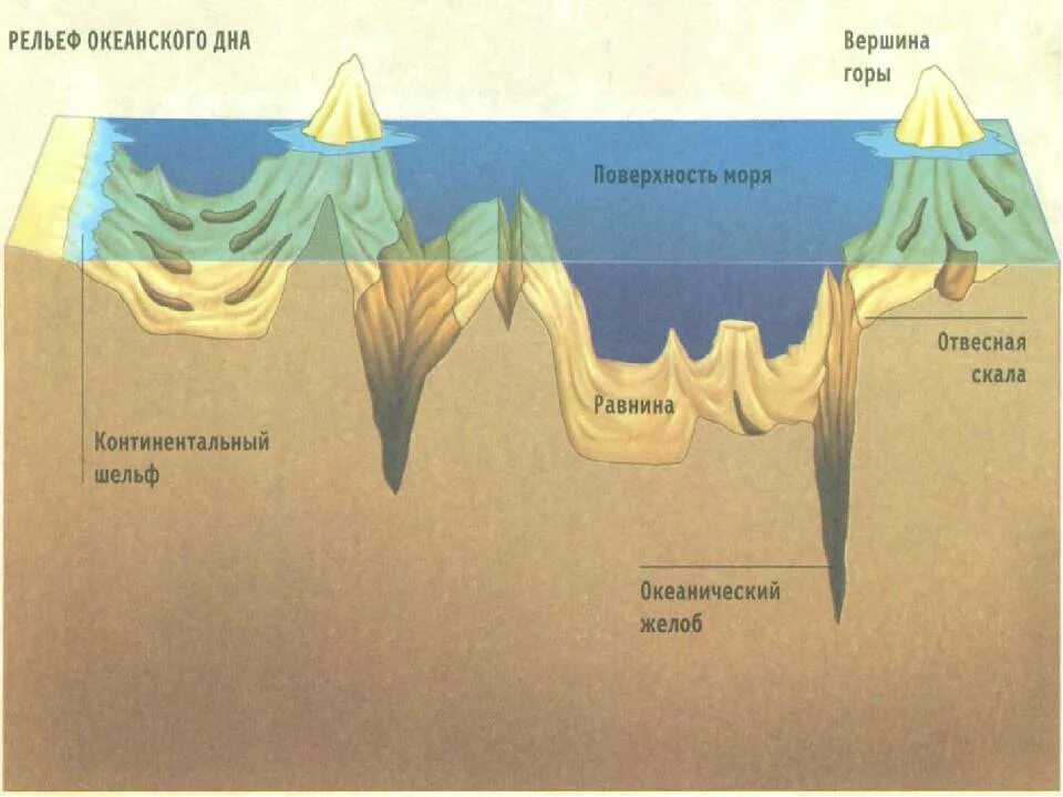 Рельеф дна мирового океана. Рельеф дна мирового океана 5 класс география. Рельеф дна мирового океана схема. Рельеф суши и дна мирового океана схема. Рельефы суши и дна океана