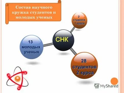 Деятельность научного кружка