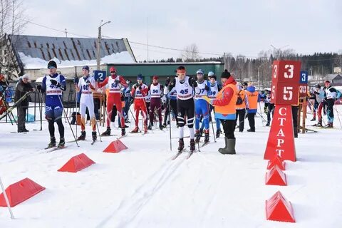 Березники лыжные