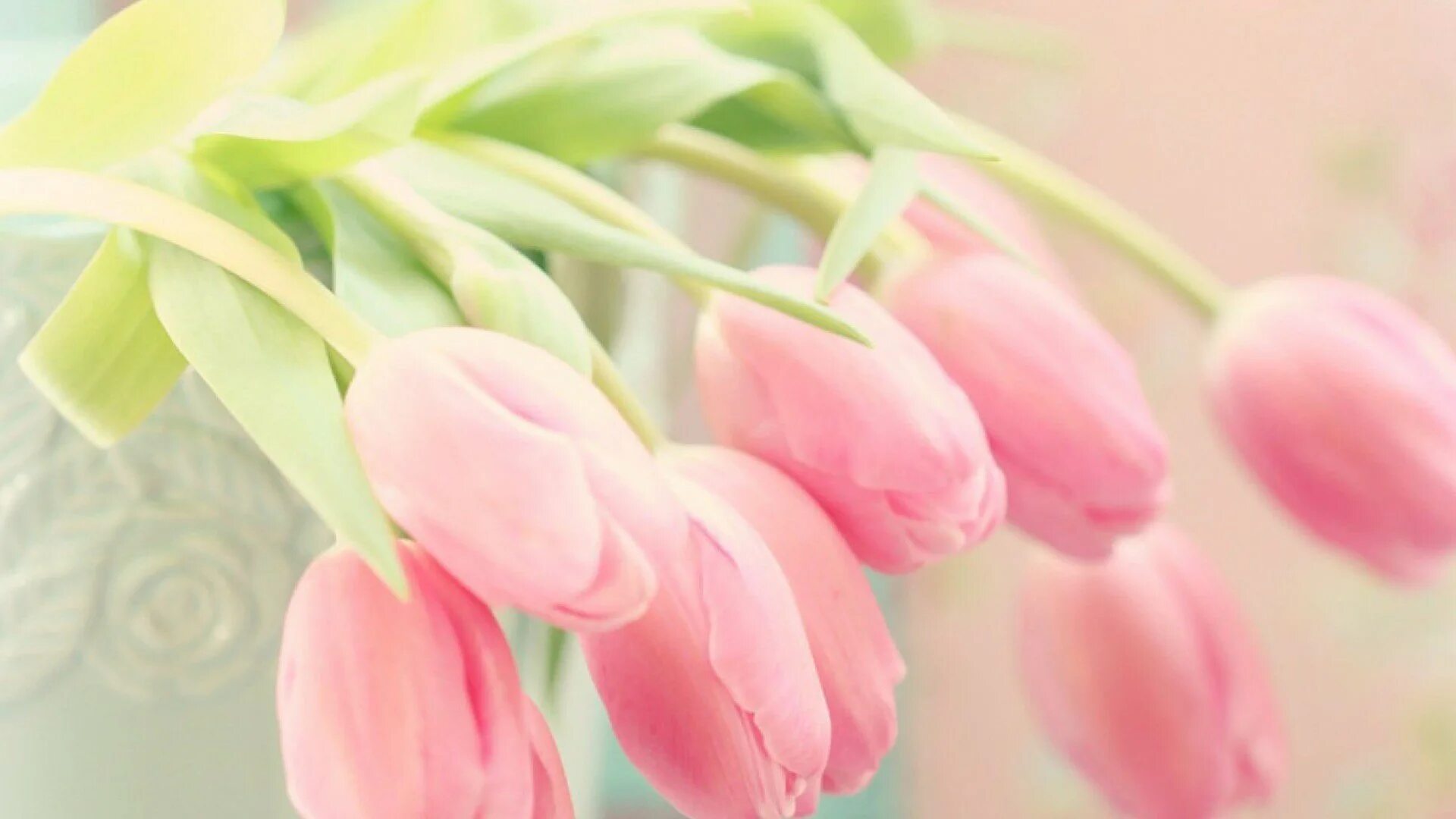 тюльпаны фон. нежный март. весенние цветы. нежный март. весенние цветы.