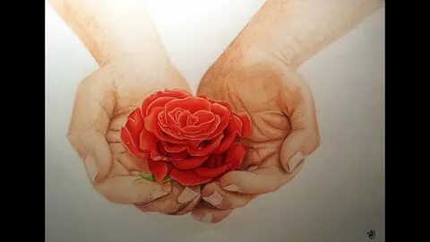 How to rose