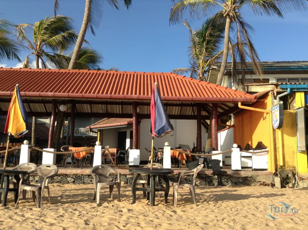 Yula beach hikkaduwa. Хиккадува шри ланка. navara homestay 2 хиккадува шри-ланка. пляж хиккадува шри ланка. italia beach hotel 2 хиккадува шри-ланка.