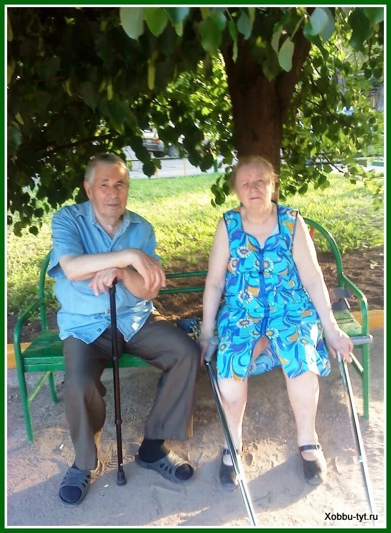 найти сиделку для пожилого человека без посредников. сиделка для пожилого. сиделка фотосток. сиделка для пожилого человека. сиделка с проживанием.