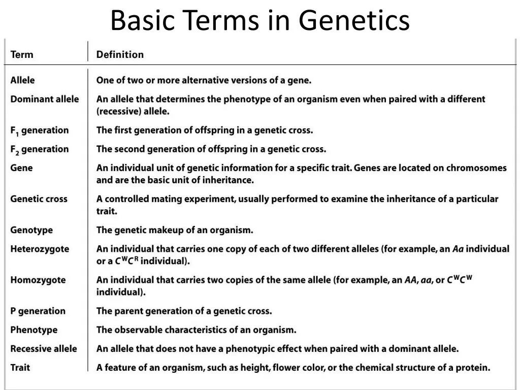 Basic terminology. Genetic terms. Definitions and terminology. Main Genetics terms. Basic terms