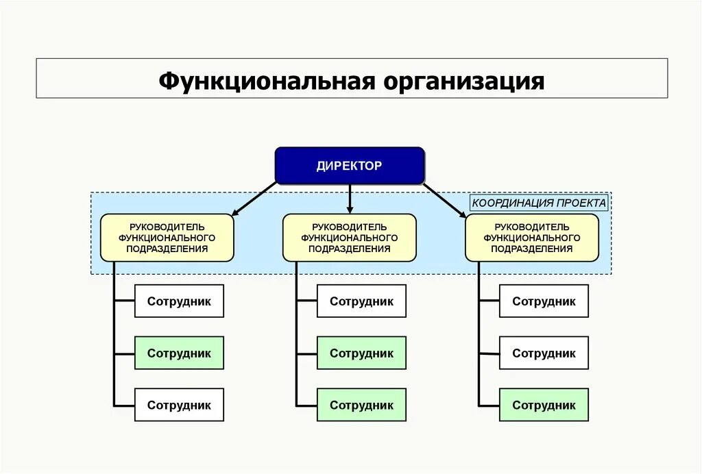 Функциональные отделы организации. Функциональная организационная структура схема. Функциональная организационная структура управления схема. Функциональная структура управления схема. Функциональная система организации.