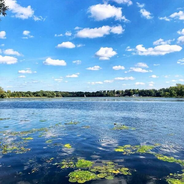 Островок долгопрудный. Долгопрудный водники островок. Парк островок долгопрудный. Поселок водники московская область. Пристань водники.