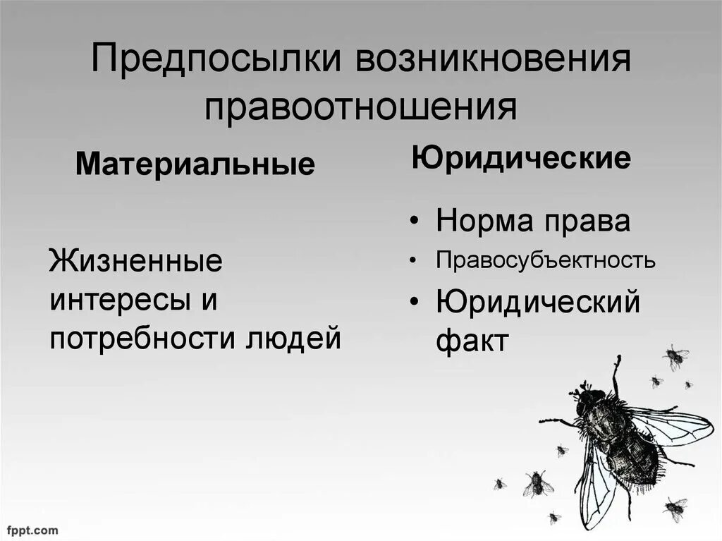 Условия правоотношения. Предпосылки возникновения правоотношений. Предпосылки возникновения прав. Юридические предпосылки правоотношений. Причины возникновения правоотношений.