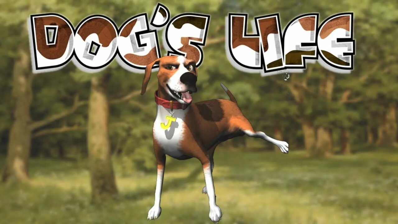 Life is dog