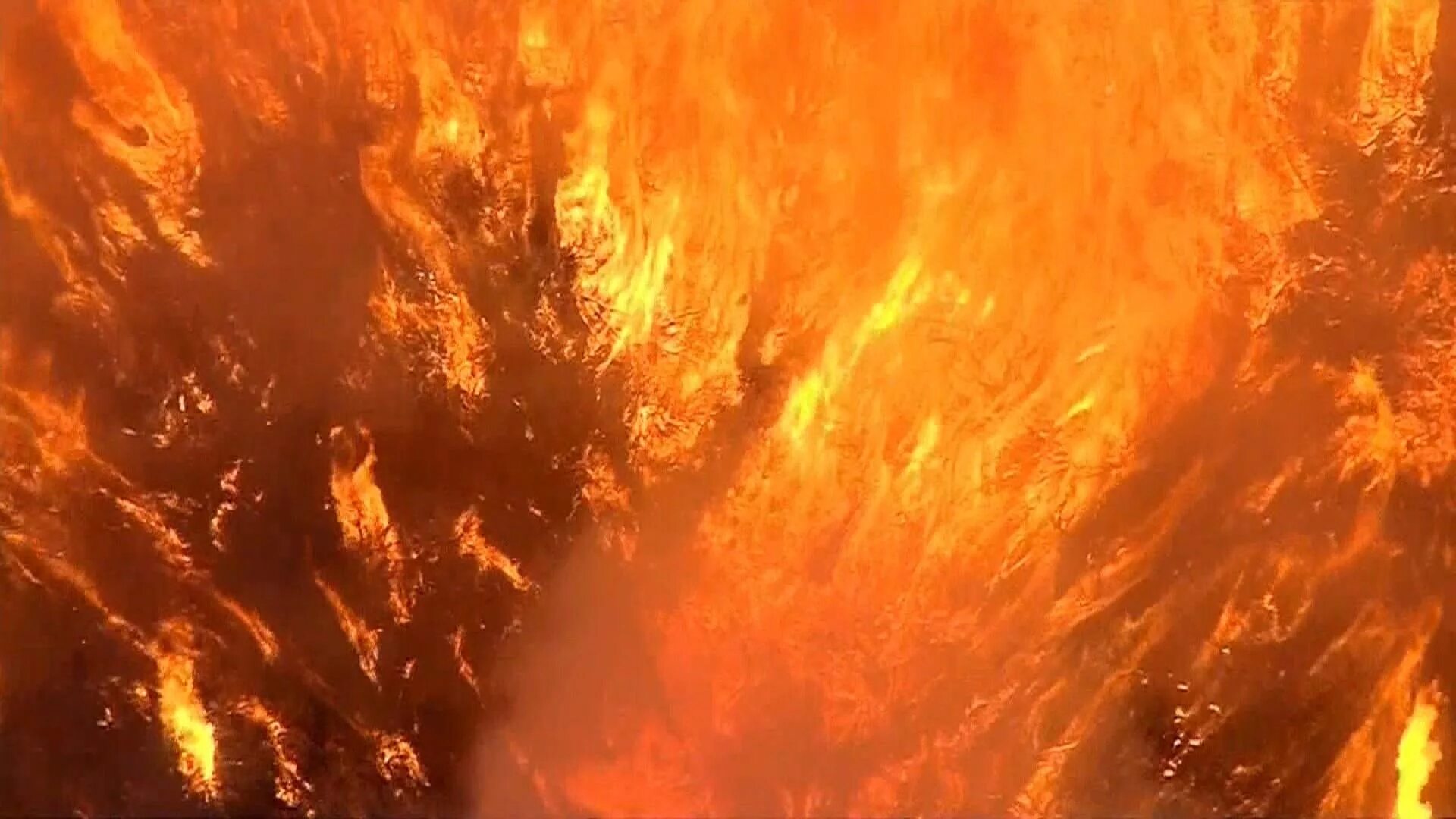 Огненный плюс. Огонь 40 на 40. Огонь южный америка. Классные картинки огня. Феникс и вулкан.