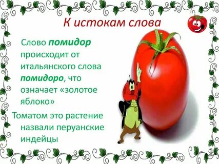 Значение слова помидор