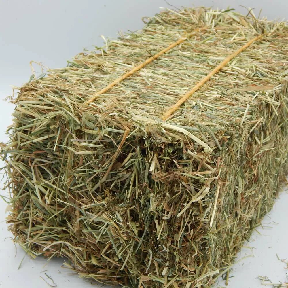 Тюки люцерны Bale. Люцерна тюк 800кг. Alfalfa hay. Сухое сено люцерна. Куплю сено с доставкой недорого