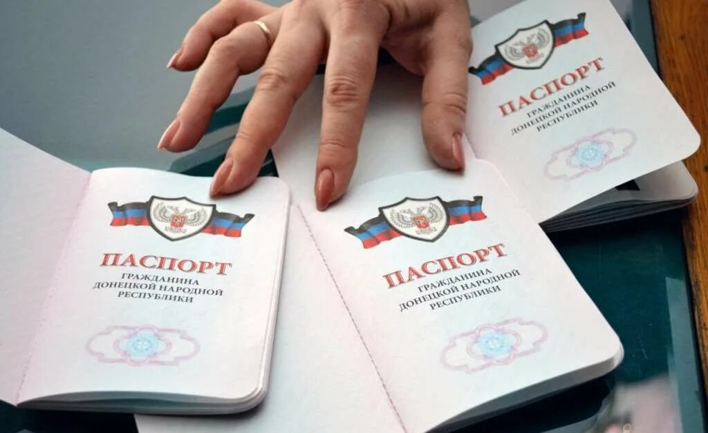 Прием документов днр. Прием документов днр