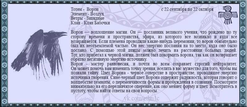 Предсказание от черного ворона пессимиста 9 букв. Тотемное животное. Тотемное животное весы. Тотемные животное высы. Тотемные животные по знакам зодиака весы.