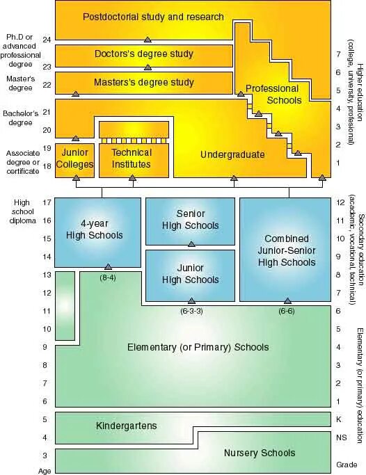 Образовательная система США схема. Структура образования в США схема. Система образования в США схема. Школьное образование в США схема.