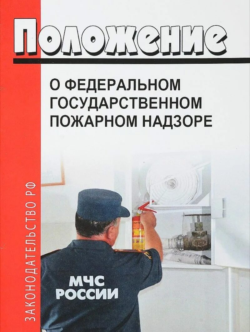 Государственный пожарный надзор приказы. Положение о федеральном государственном пожарном надзоре. ППРФ 290 О федеральном государственном пожарном надзоре. Постановление правительства 290 о государственном пожарном надзоре. Федеральный государственный пожарный надзор.