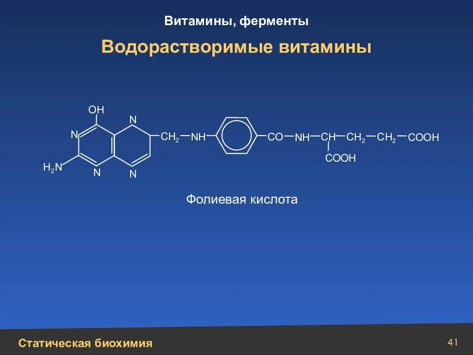 2 водорастворимые витамины. Водорастворимые ферменты. Витамины и ферменты. Строение водорастворимых витаминов. Витамины и ферменты биохимия.