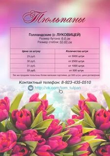 Тюльпаны томск